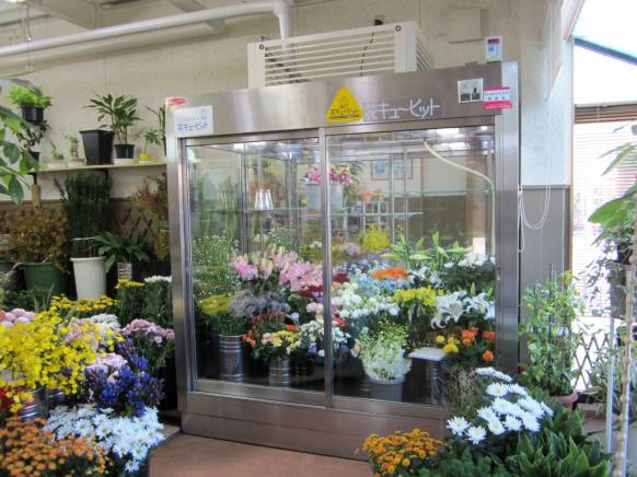 「菊上生花店」　（愛知県豊川市）の花屋店舗写真3
