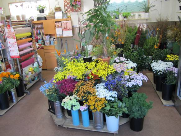 「菊上生花店」　（愛知県豊川市）の花屋店舗写真2